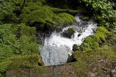 Ozone Free Bottled Spring Water